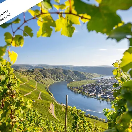 Wohlfühloase An Der Mosel Apartment Osann-Monzel